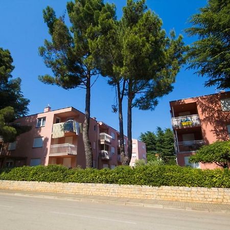 Roza Apartment Novigrad  Zewnętrze zdjęcie