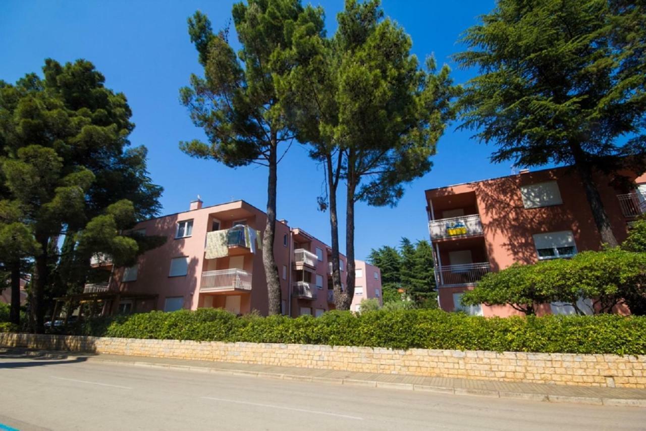 Roza Apartment Novigrad  Zewnętrze zdjęcie